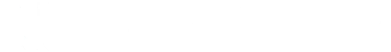 Niedermeyer Consulting